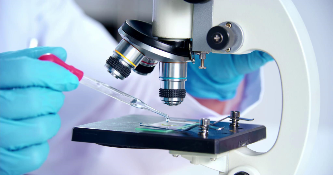 ����� | �ٷ���վ