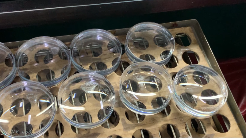 ����� | �ٷ���վ